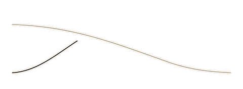 Three horizons curves: H1 declining, H2 peaking, H3 rising.